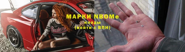 индика Богородицк
