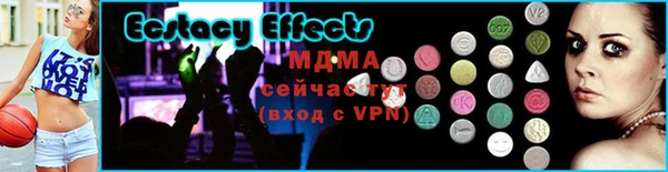 индика Богородицк