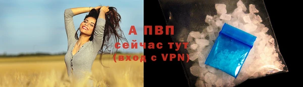 индика Богородицк