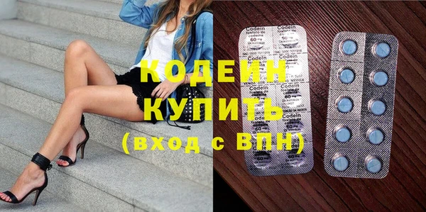 индика Богородицк