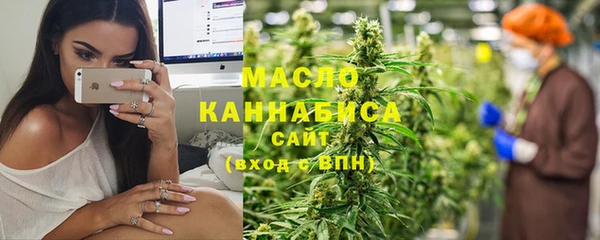 индика Богородицк