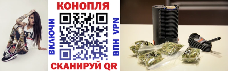 Шишки марихуана Amnesia  Венёв 